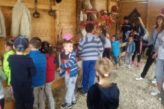 10982038_866407350114995_6316056785210879894_n