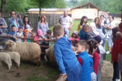 11255849_866408450114885_8396166400476567672_n