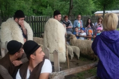 11350645_866408970114833_1297000186712992137_n